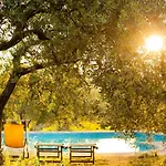 Studio-apartment Mit Garten- Grill- Pool Und Aussicht By Interhome Apartment Pesaro